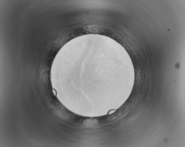 X0000116650271201001251203