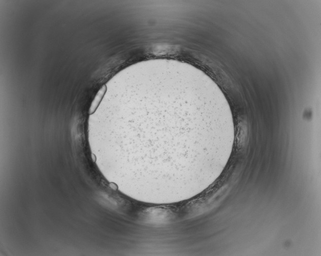 X0000116650272201001251203