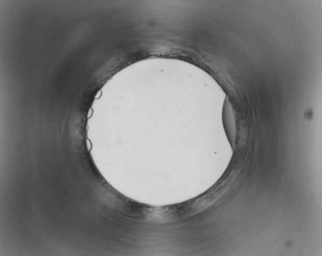 X0000116650273201001251203