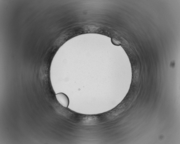 X0000116650274201001251203