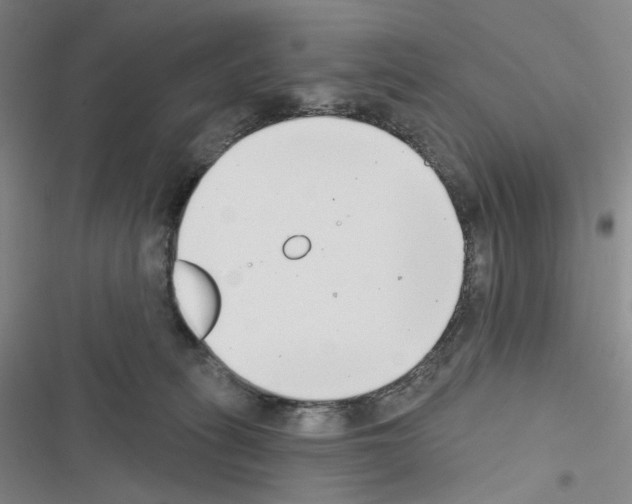 X0000116650275201001251203