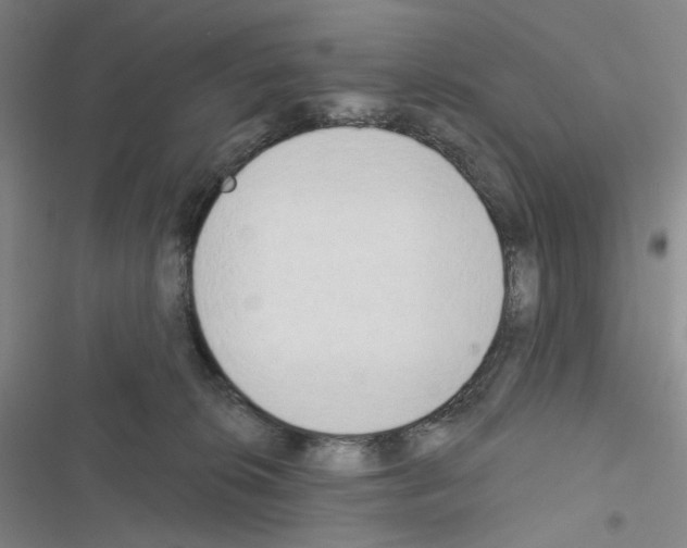 X0000116650276201001251203
