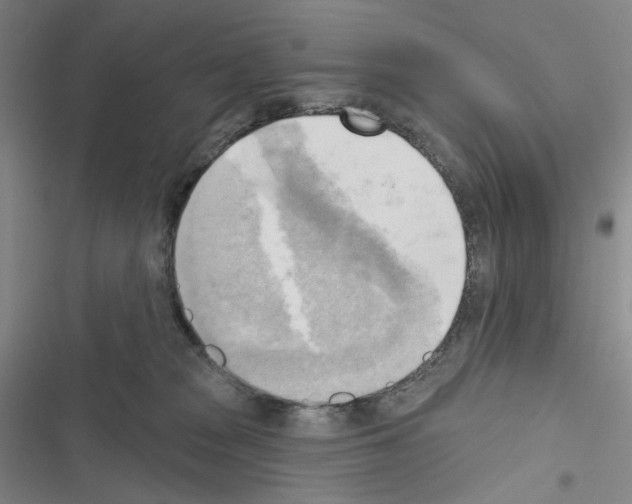 X0000116650277201001251203