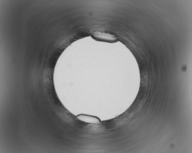 X0000116650280201001251203