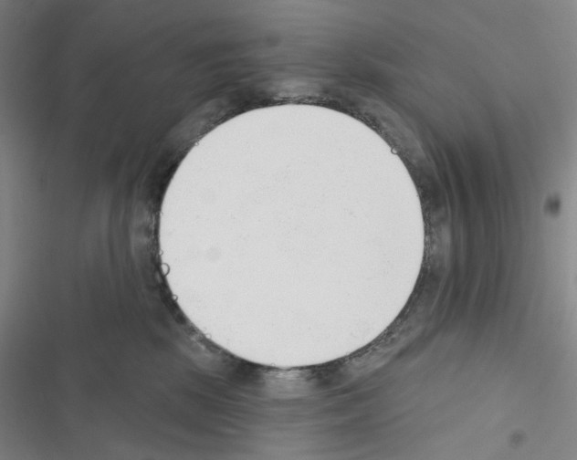 X0000116650281201001251203