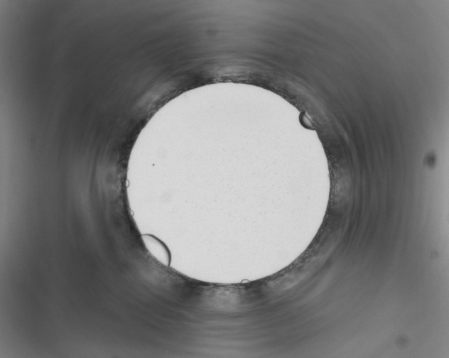 X0000116650282201001251203