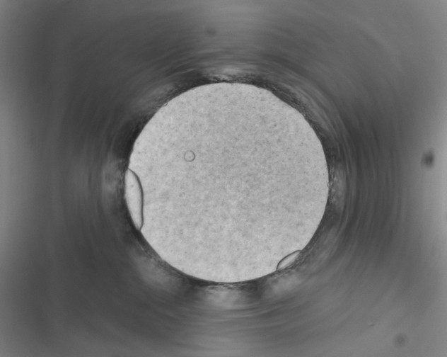 X0000116650284201001251203