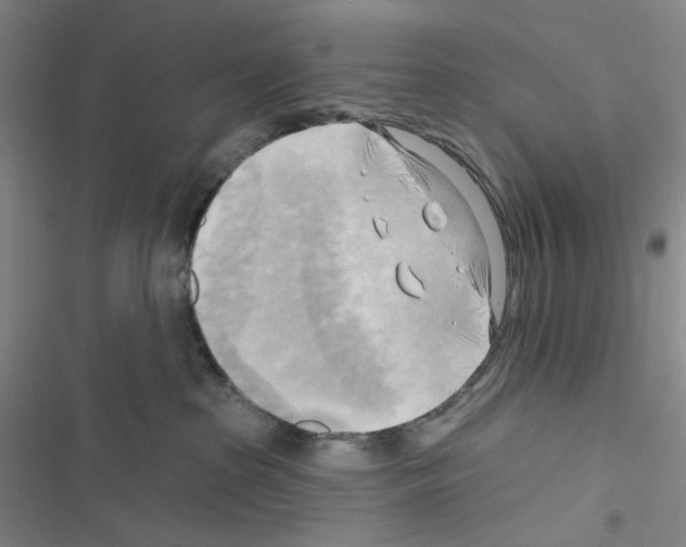 X0000116650285201001251203