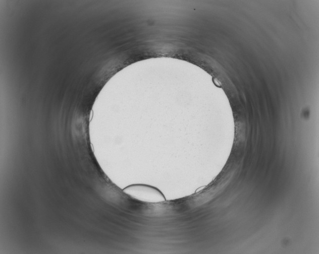 X0000116650286201001251203