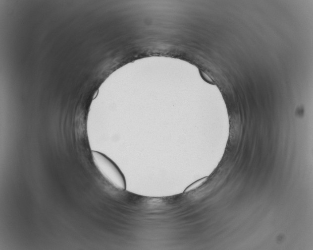X0000116650287201001251203