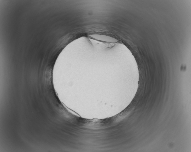 X0000116650288201001251203