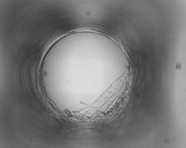 X0000116650289201001251203