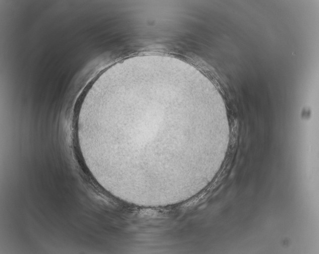 X0000116650290201001251203