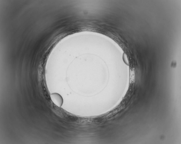 X0000116650291201001251202