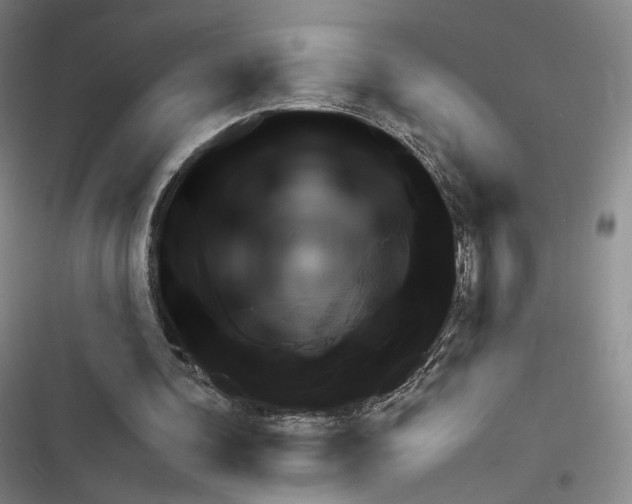 X0000116650292201001251202