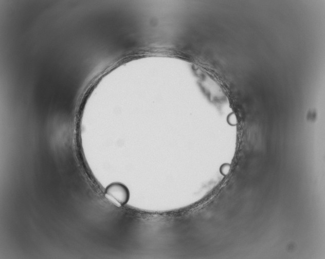 X0000116650293201001251202