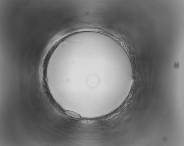 X0000116650296201001251202