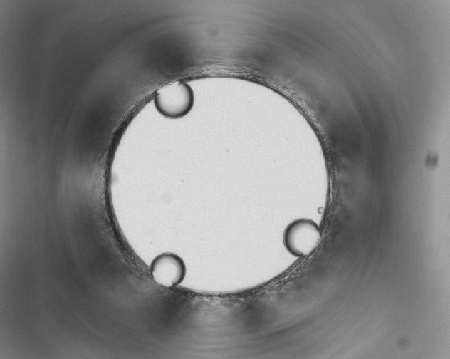 X0000116650297201001251202
