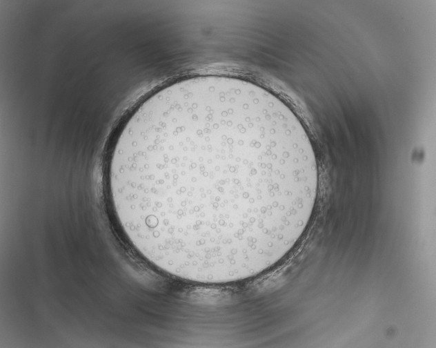 X0000116650298201001251202