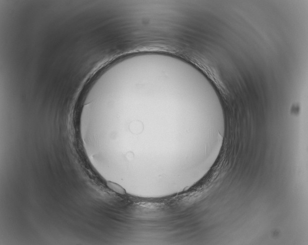 X0000116650300201001251202