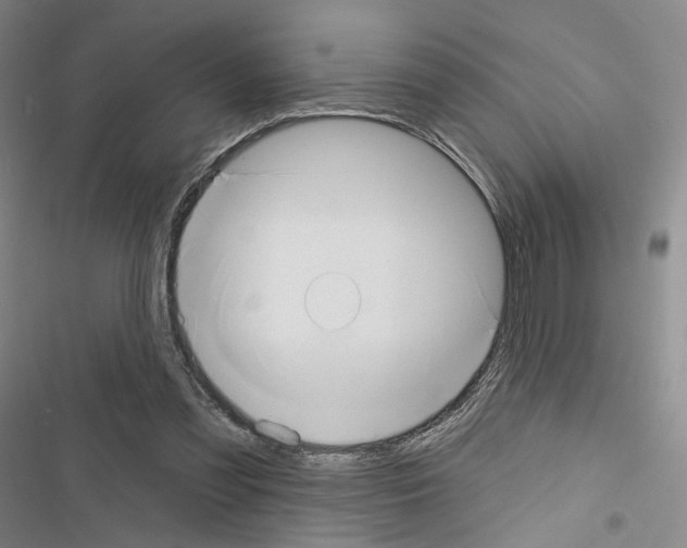 X0000116650301201001251202