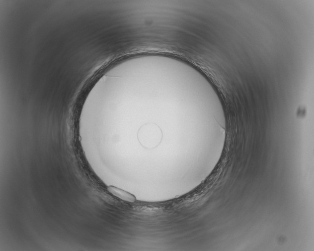 X0000116650304201001251202