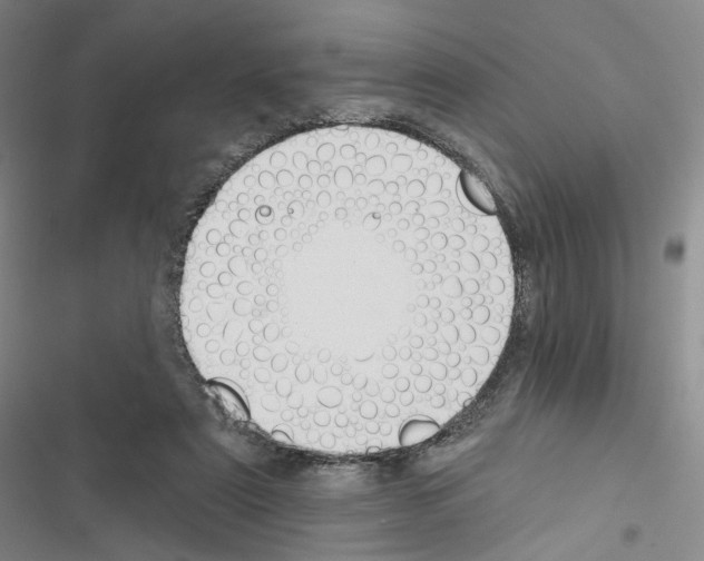 X0000116650307201001251202