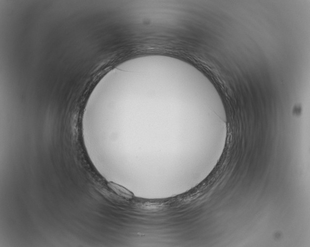 X0000116650308201001251202