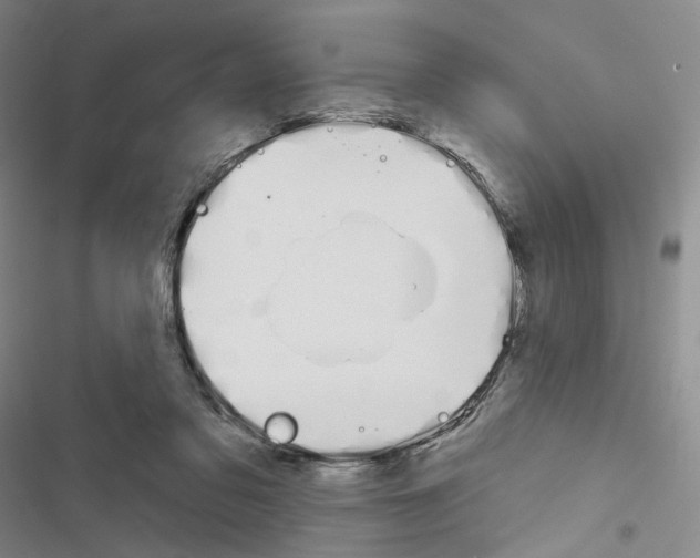 X0000116650309201001251202
