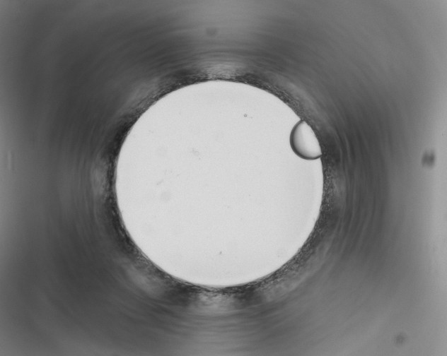X0000116650311201001251202