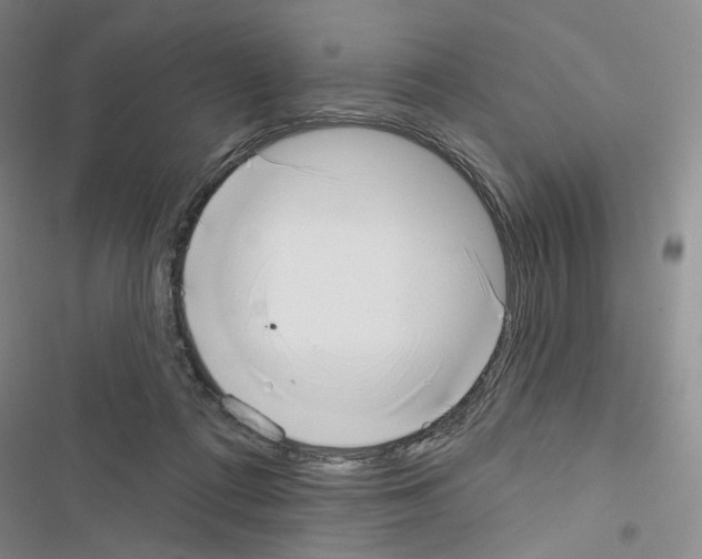 X0000116650312201001251202