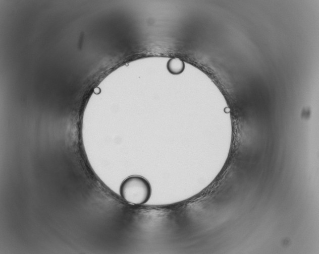 X0000116650313201001251202