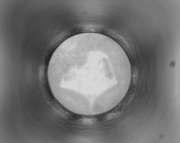 X0000116650314201001251202