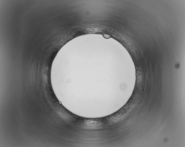 X0000116650315201001251202