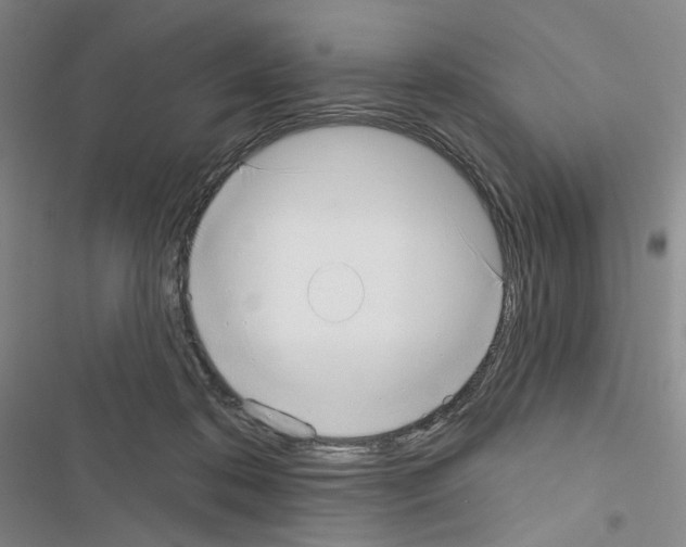 X0000116650316201001251202