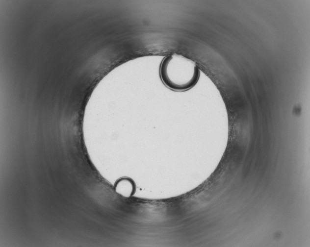 X0000116650317201001251202