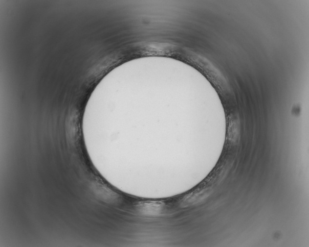 X0000116650318201001251202