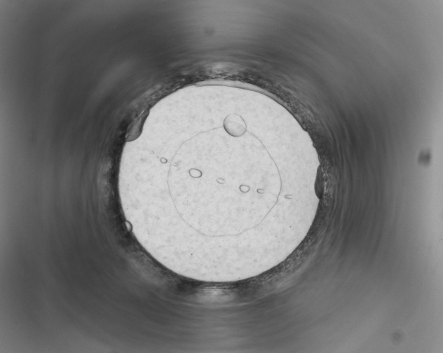 X0000116650319201001251202