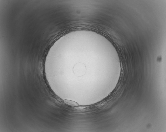 X0000116650320201001251202