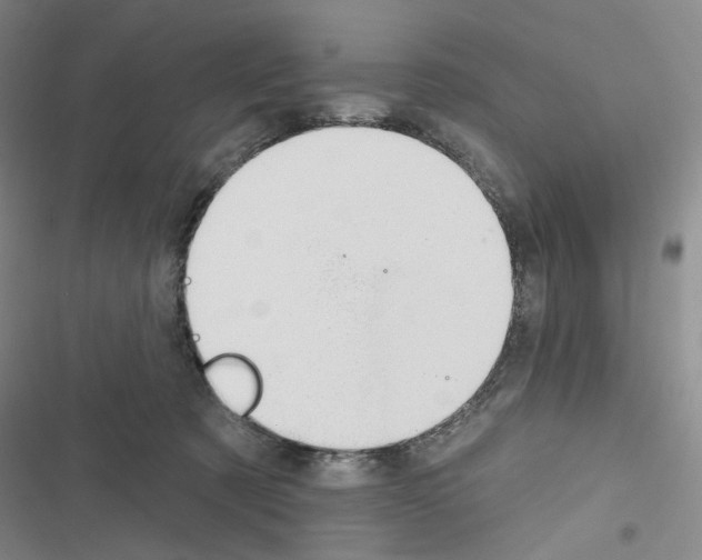 X0000116650321201001251202