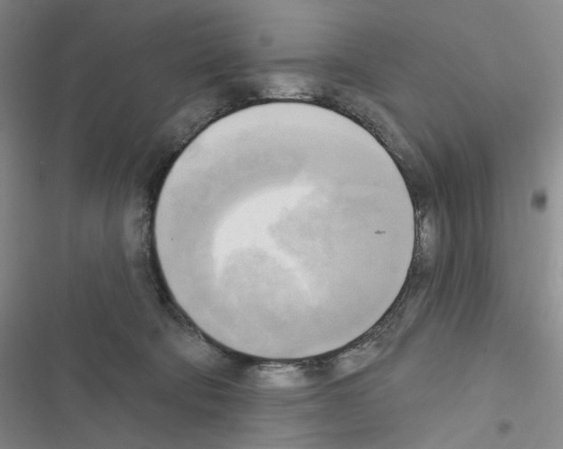 X0000116650322201001251202