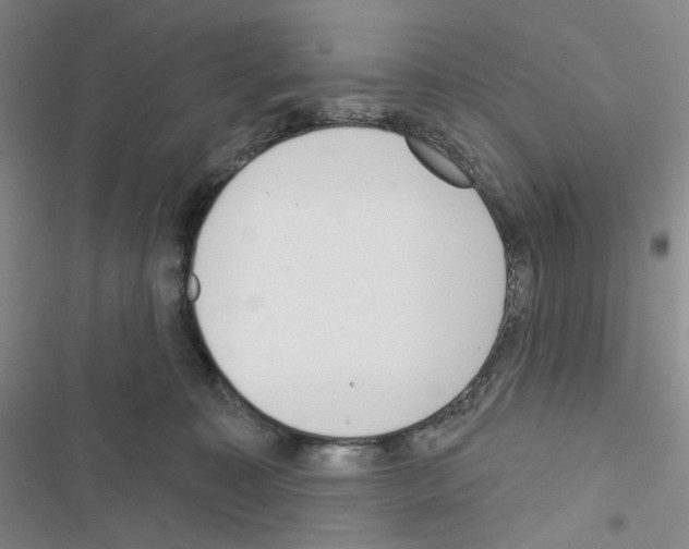 X0000116650323201001251202