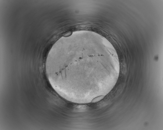 X0000116650324201001251202