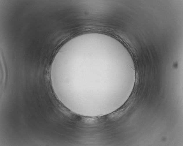 X0000116650325201001251202