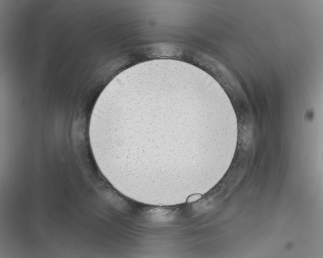 X0000116650326201001251202