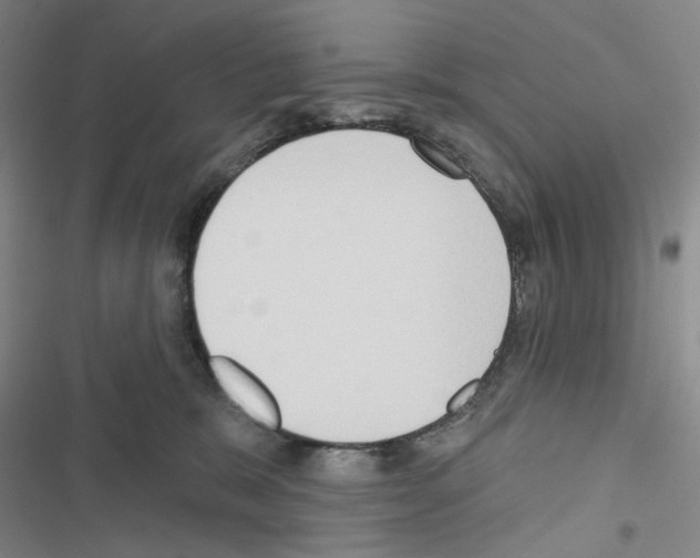 X0000116650327201001251202