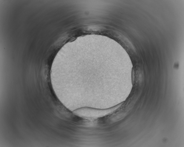 X0000116650328201001251202
