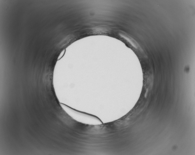 X0000116650329201001251202