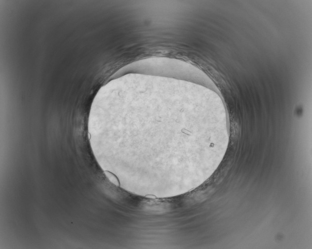 X0000116650331201001251202