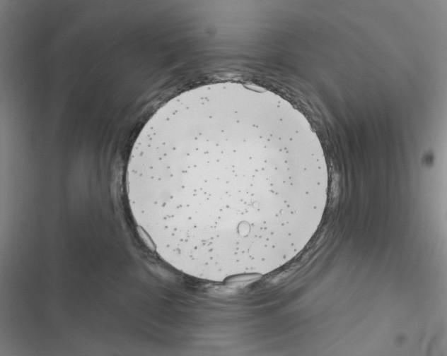 X0000116650332201001251202